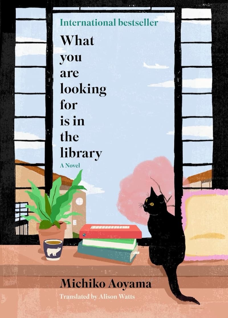 What You Are Looking For Is in the Library cover
