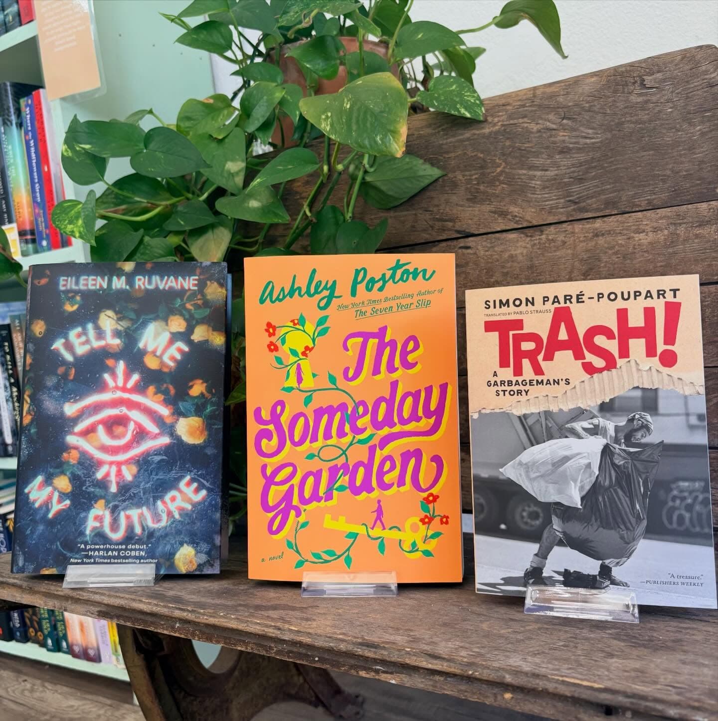 A stack of books resting on a wooden bench beside a potted plant in the shop.